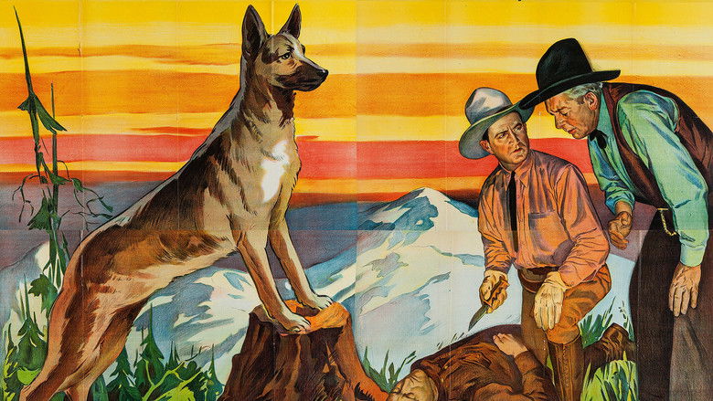 кадр из фильма Vengeance of Rannah