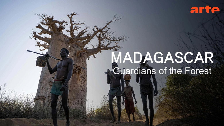 Madagascar : les Mikea, derniers gardiens de la forêt