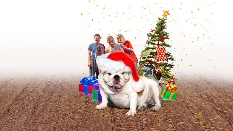 кадр из фильма A Bulldog for Christmas