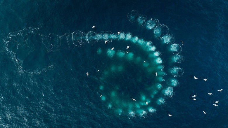 кадр из фильма Киты: Стражи планеты