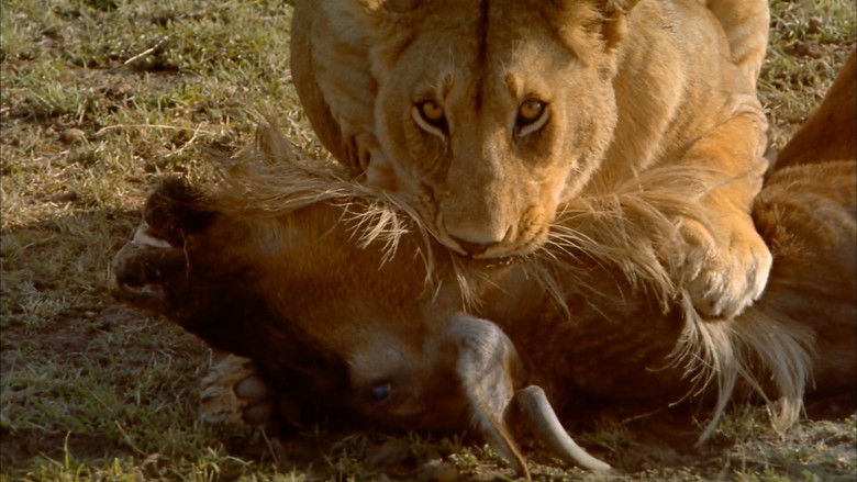 кадр из фильма Африка. Серенгети.