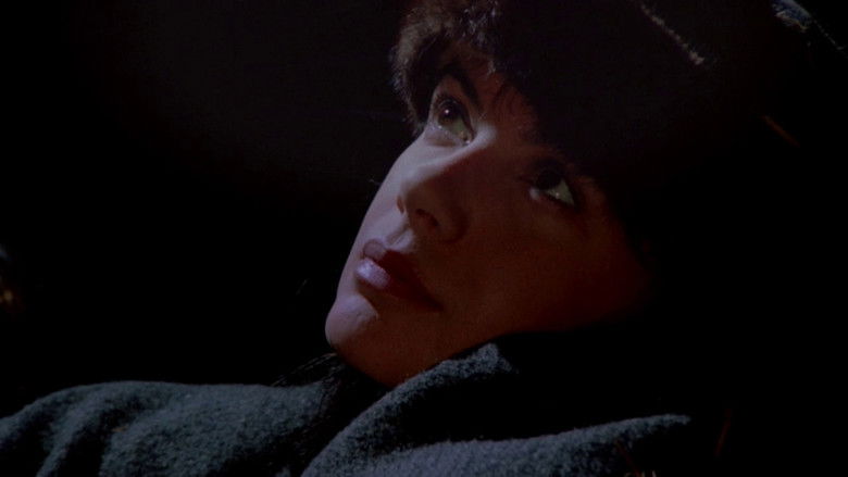 кадр из фильма Maria Chapdelaine