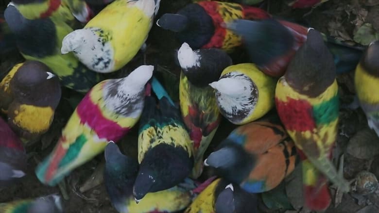 кадр из фильма Los que desean