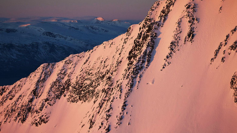 кадр из фильма Aesthetics