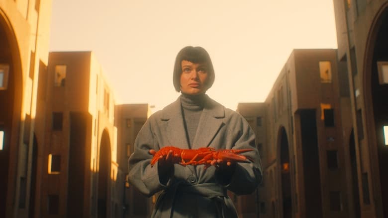 кадр из фильма Nourrir les cygnes