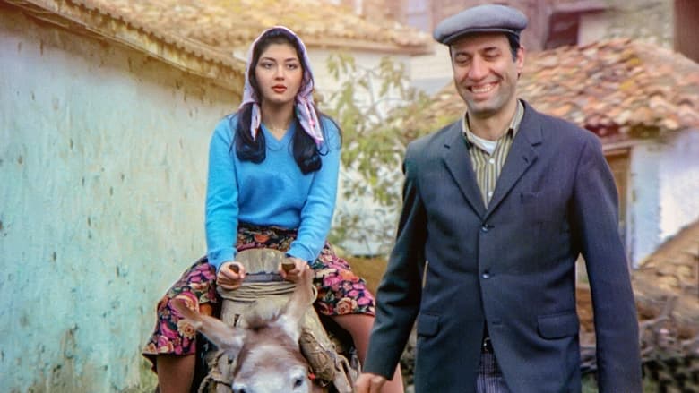 кадр из фильма Tokatçı