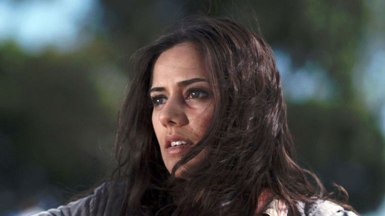 кадр из фильма Three Veils