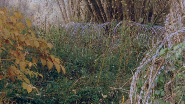 кадр из фильма Obzornik 670 – Rdeči gozdovi