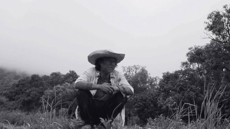 кадр из фильма От предшествующего