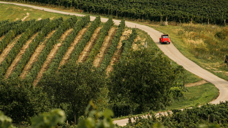 кадр из фильма Bobule