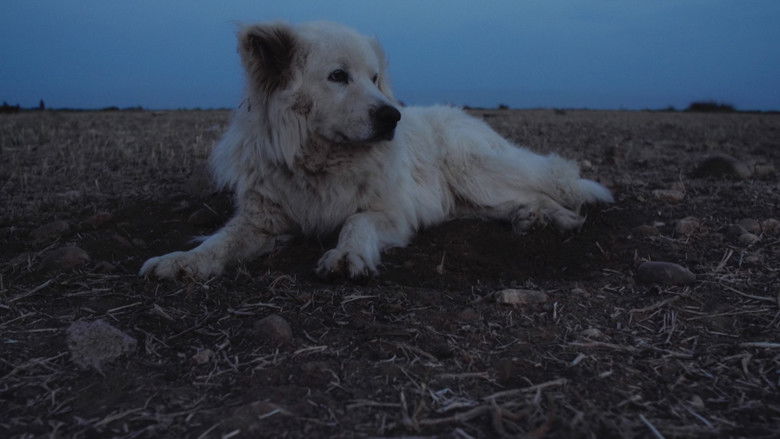 кадр из фильма Crau