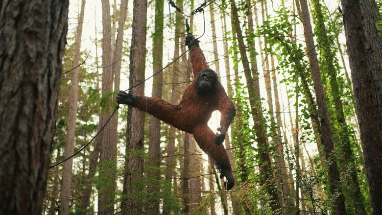 кадр из фильма That's Andrew Lyons