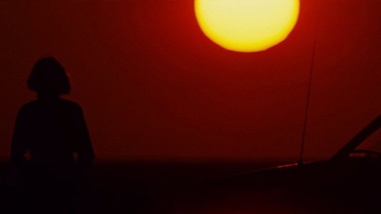 кадр из фильма Кабан-секач