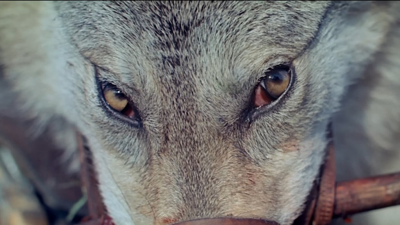 кадр из фильма Война и Мир 2: Наташа Ростова