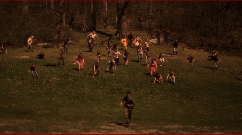 кадр из фильма The Stray