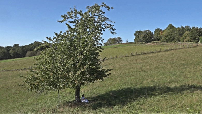 кадр из фильма Un Feu Distant