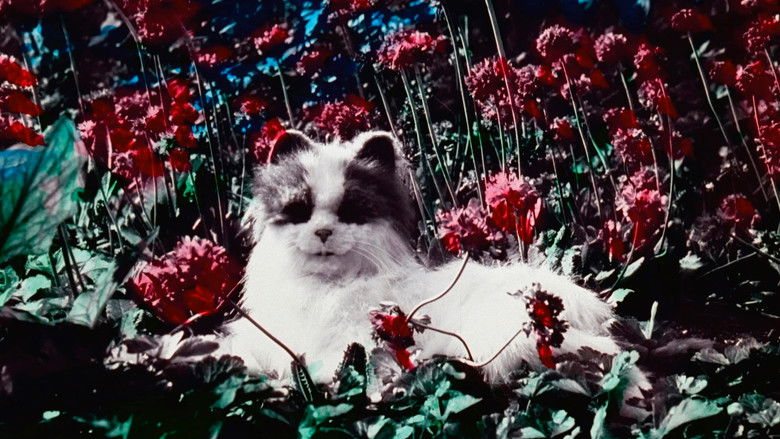 кадр из фильма Enthusiasm