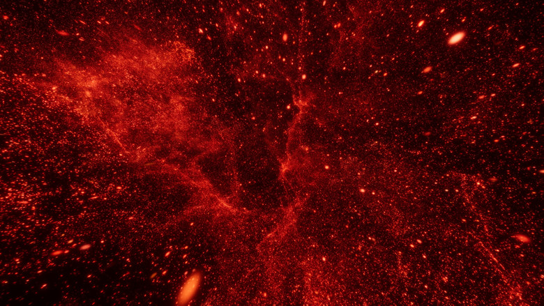 кадр из фильма Это не ваш сад