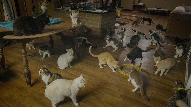 кадр из фильма Empire félin