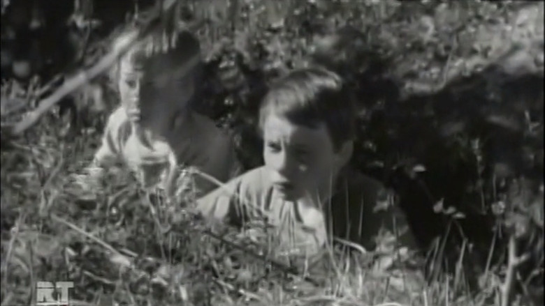 кадр из фильма Белый флюгер