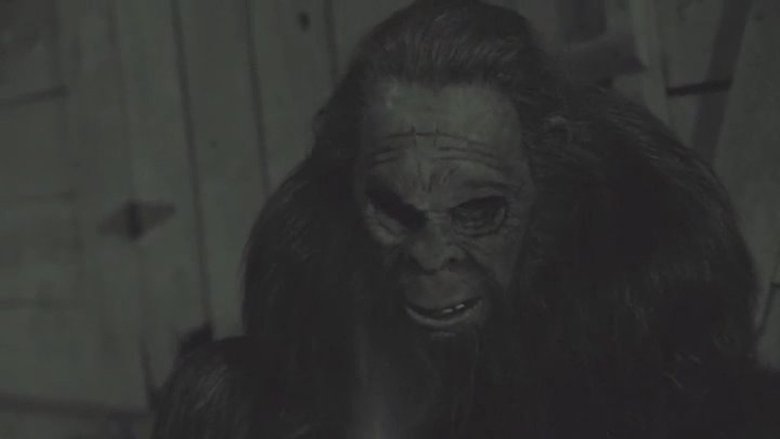 кадр из фильма Something in the Woods