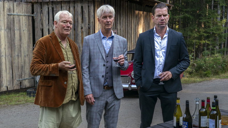 кадр из фильма Den sidste viking