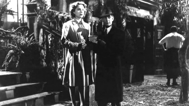 кадр из фильма A Sangre Fría