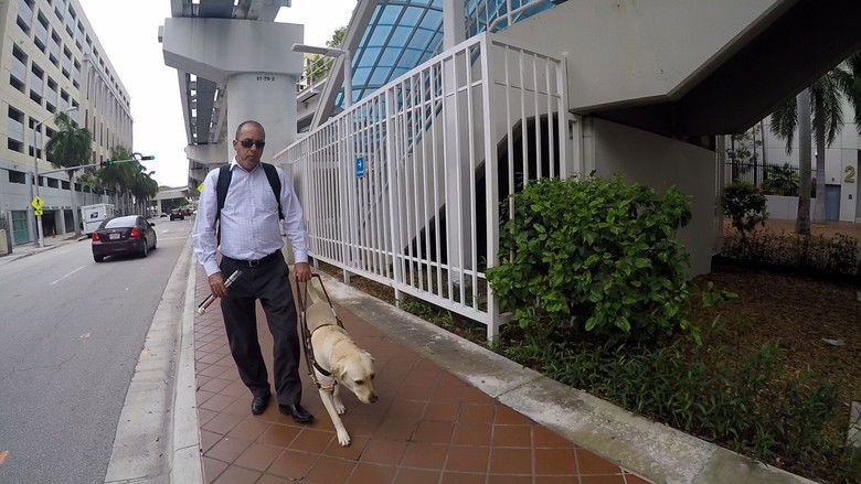 кадр из фильма Antihero