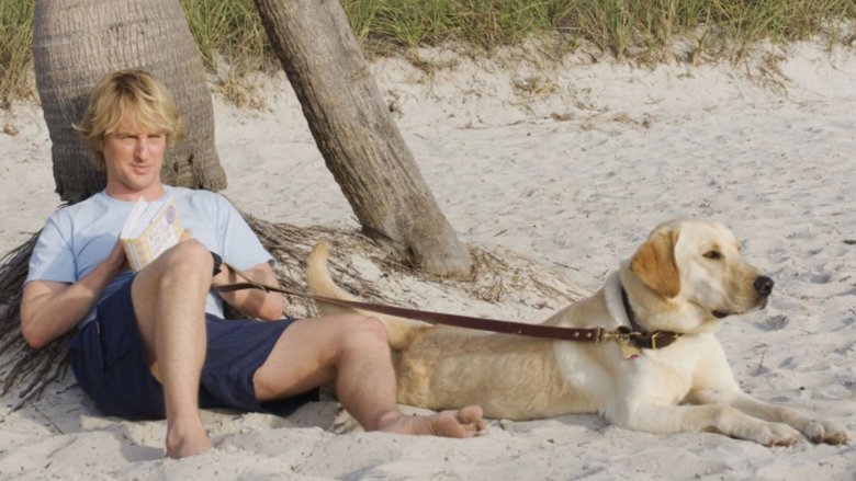 кадр из фильма Марли и я