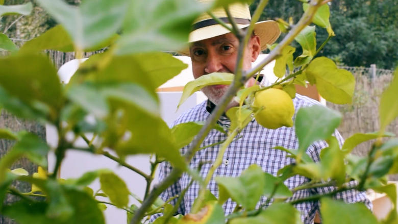 кадр из фильма Cueillette du citron