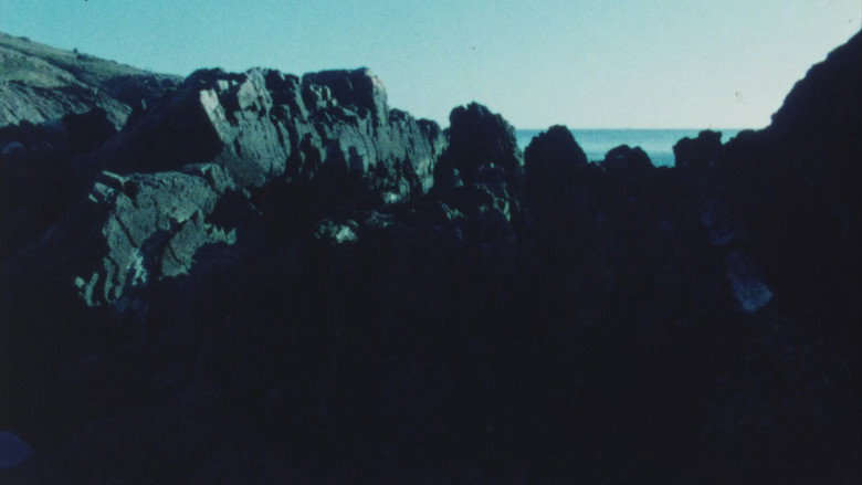 кадр из фильма Portrait of Carlos Vilaro