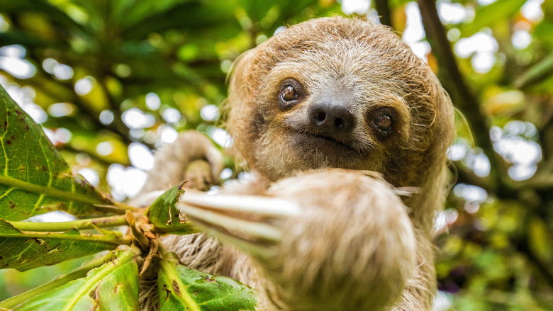 кадр из фильма Untamed Costa Rica with Filipe DeAndrade