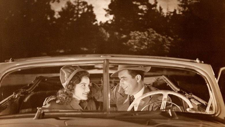 кадр из фильма Secrets of a Sorority Girl