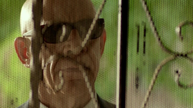 кадр из фильма Видели ночь