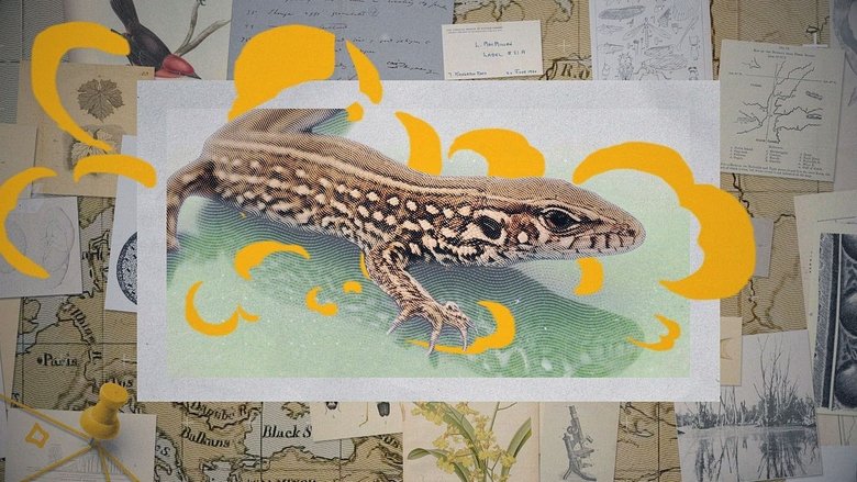 кадр из фильма Darwin express - Les nouveaux défis de l'évolution