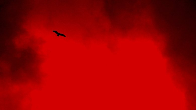 кадр из фильма A Morte Branca do Feiticeiro Negro