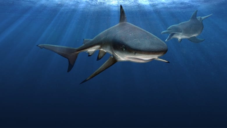 кадр из фильма Sharks vs. Dolphins: Blood Battle