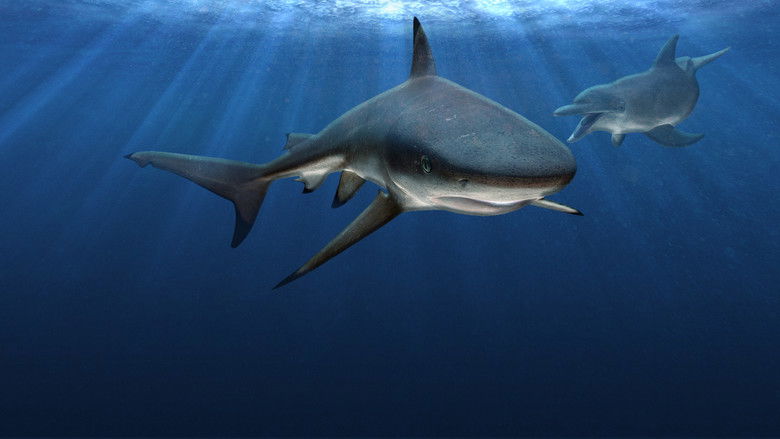 кадр из фильма Sharks vs. Dolphins: Blood Battle