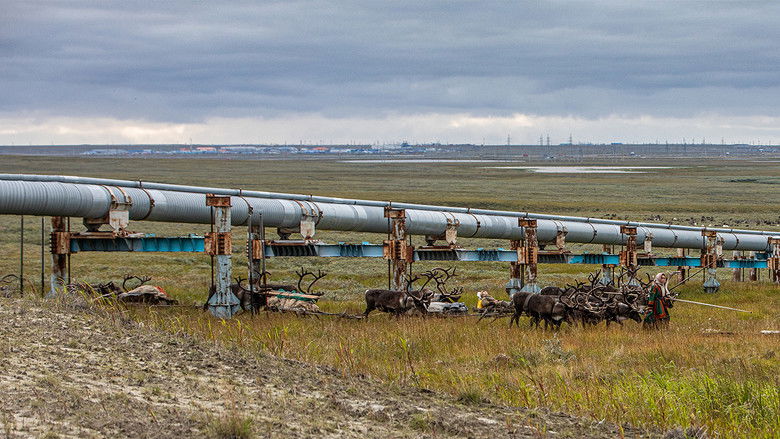 кадр из фильма Gaz russe, la dernière route des Nenets