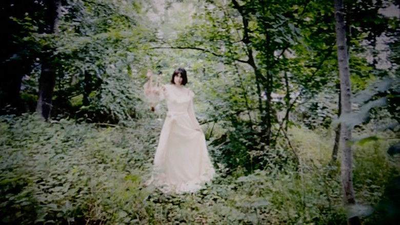 кадр из фильма Ballad of a Jutland girl