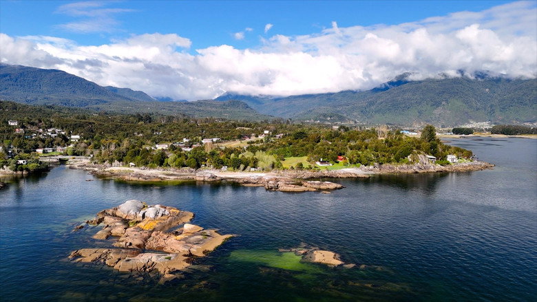 ¿Sueñan los centinelas del mar?