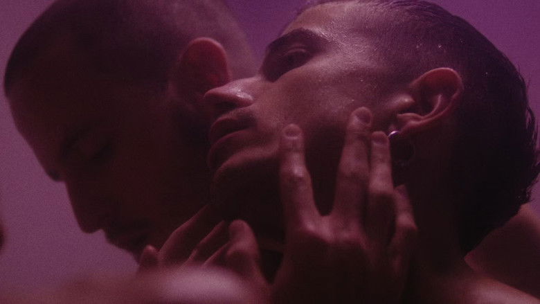 кадр из фильма Túnel de lavado