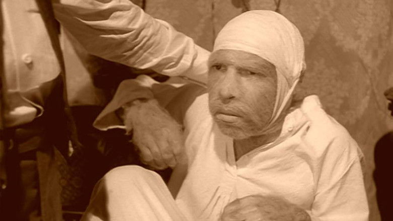 кадр из фильма Собачье сердце