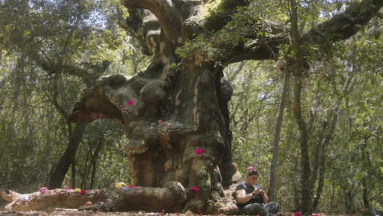 кадр из фильма Valentina e i MUOStri