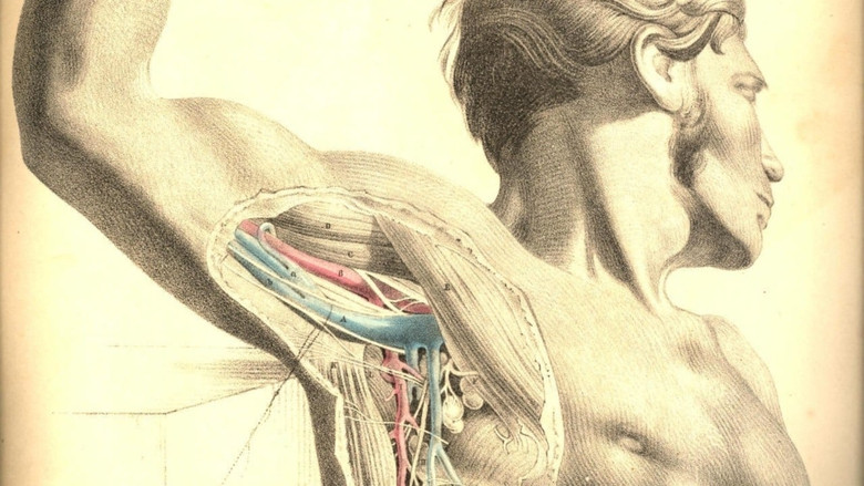 кадр из фильма Анатомия 2