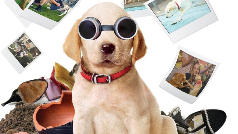 кадр из фильма Марли и я 2