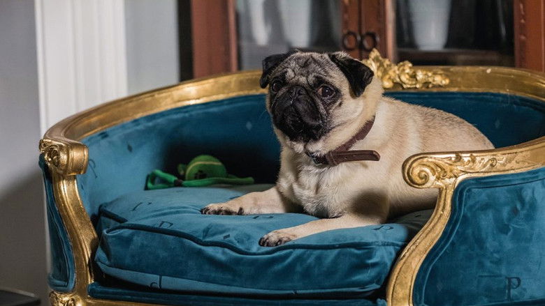 кадр из фильма Патрик