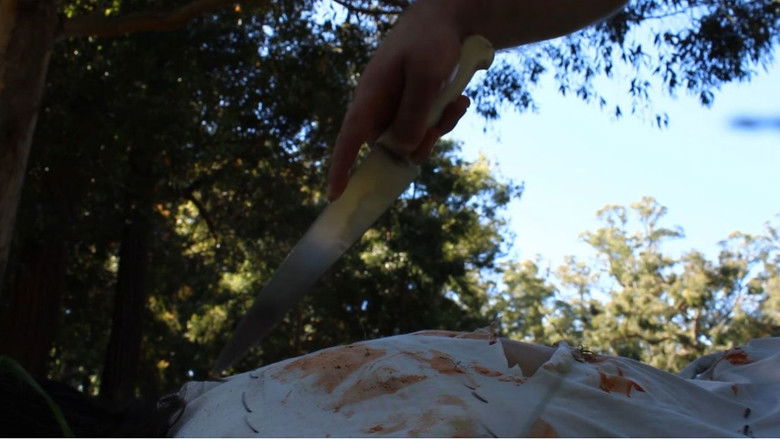 кадр из фильма Escudriñar