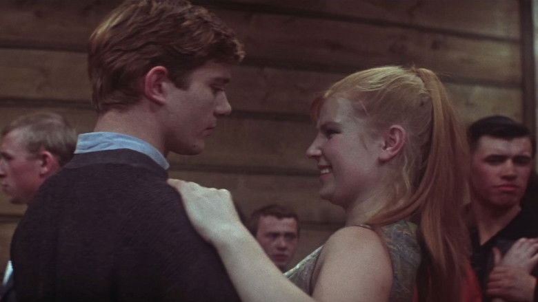 кадр из фильма Таежный десант