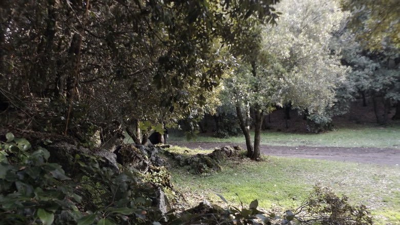 кадр из фильма Oblio